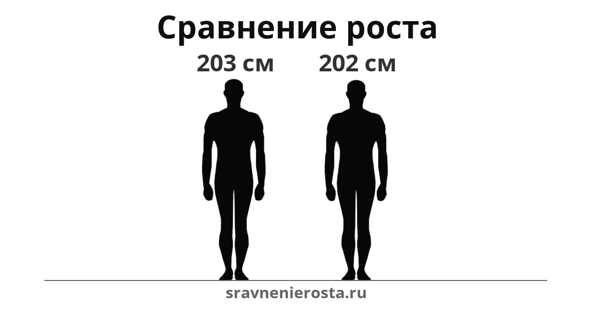 Визуализация соотношения роста мужчины (203 см) и мужчины (202 см) на сайте sravnenierosta.ru