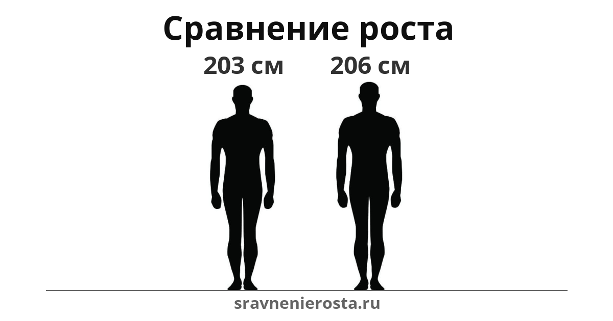 Визуализация соотношения роста мужчины (203 см) и мужчины (206 см) на сайте sravnenierosta.ru