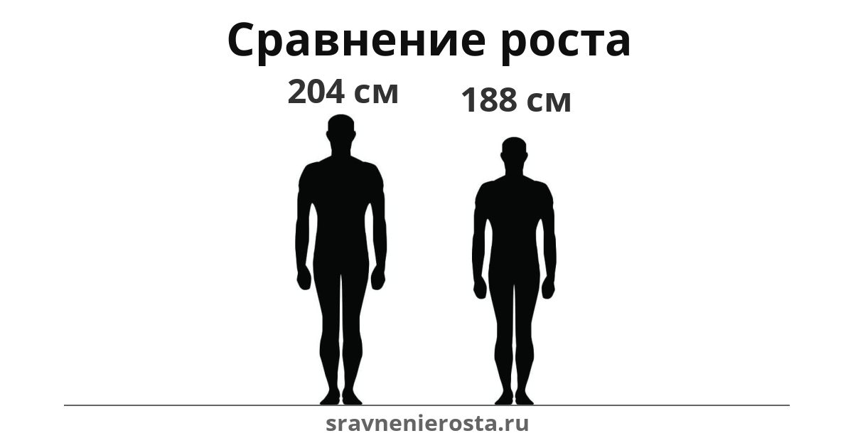 Визуализация соотношения роста мужчины (204 см) и мужчины (188 см) на сайте sravnenierosta.ru