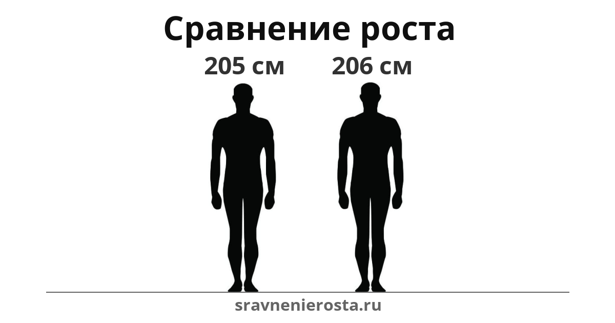 Визуализация соотношения роста мужчины (205 см) и мужчины (206 см) на сайте sravnenierosta.ru
