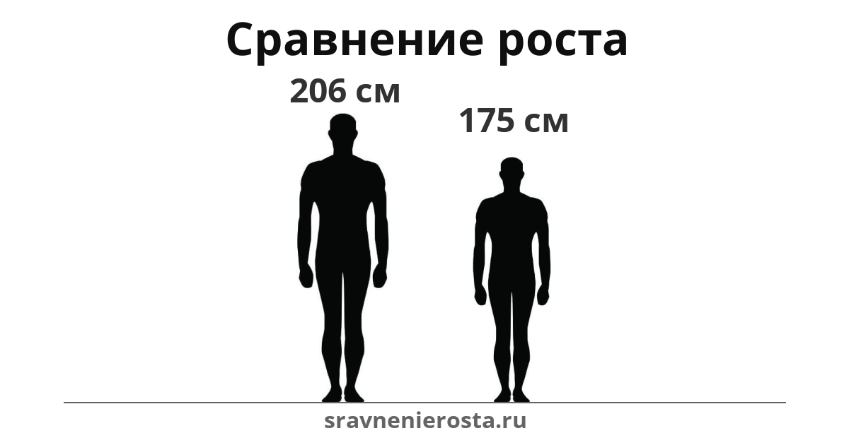 Визуализация соотношения роста мужчины (206 см) и мужчины (175 см) на сайте sravnenierosta.ru