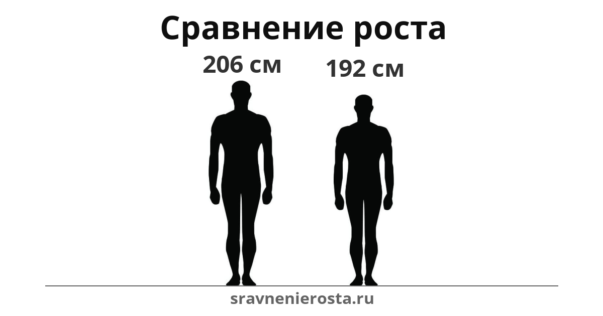 Визуализация соотношения роста мужчины (206 см) и мужчины (192 см) на сайте sravnenierosta.ru