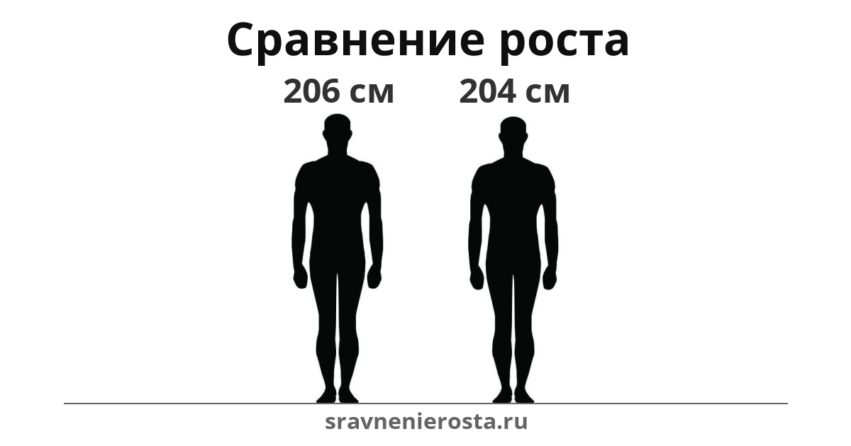 Визуализация соотношения роста мужчины (206 см) и мужчины (204 см) на сайте sravnenierosta.ru