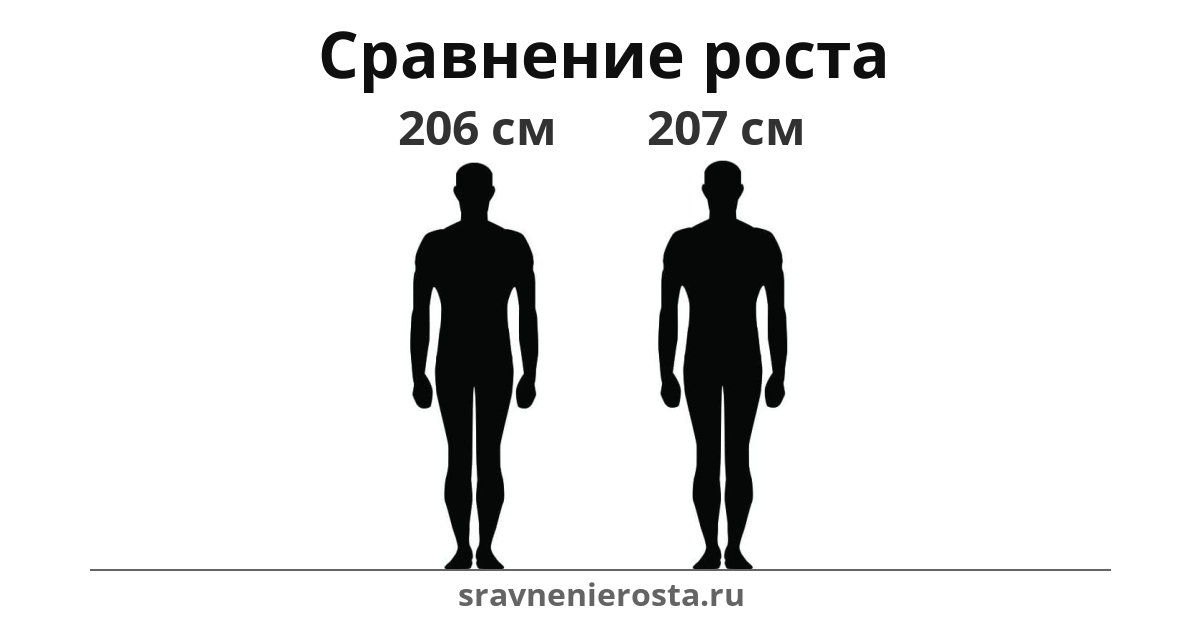 Визуализация соотношения роста мужчины (206 см) и мужчины (207 см) на сайте sravnenierosta.ru
