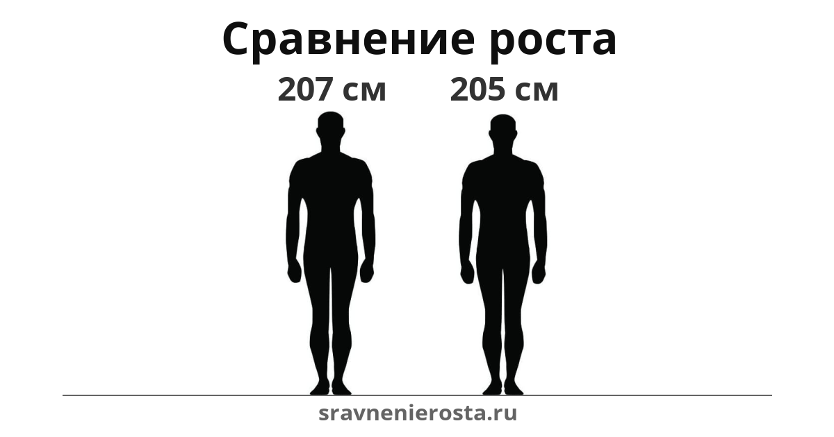 Визуализация соотношения роста мужчины (207 см) и мужчины (205 см) на сайте sravnenierosta.ru