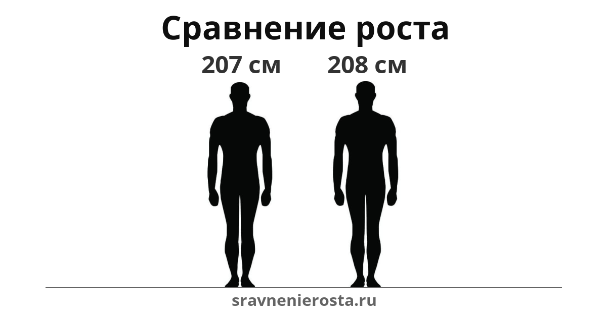 Визуализация соотношения роста мужчины (207 см) и мужчины (208 см) на сайте sravnenierosta.ru