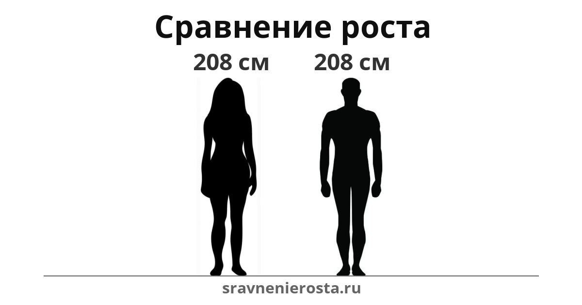 Визуализация соотношения роста женщины (208 см) и мужчины (208 см) на сайте sravnenierosta.ru