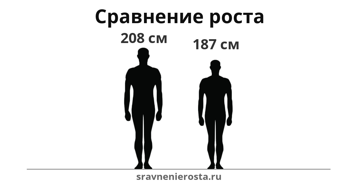 Визуализация соотношения роста мужчины (208 см) и мужчины (187 см) на сайте sravnenierosta.ru