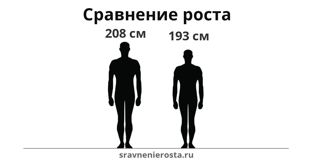 Визуализация соотношения роста мужчины (208 см) и мужчины (193 см) на сайте sravnenierosta.ru
