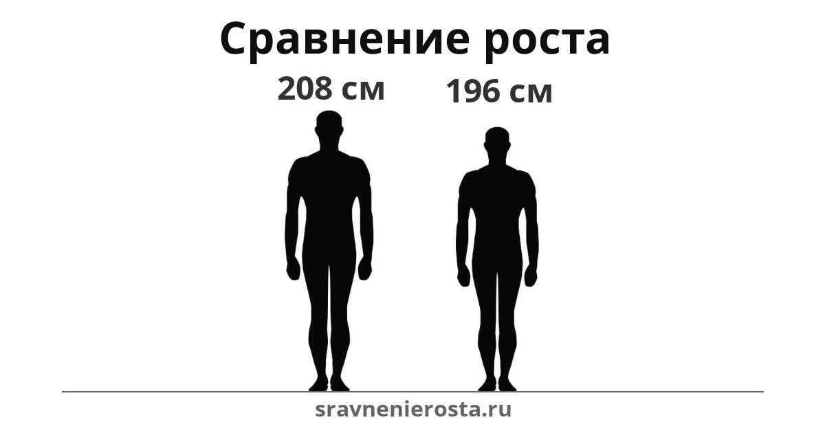 Визуализация соотношения роста мужчины (208 см) и мужчины (196 см) на сайте sravnenierosta.ru