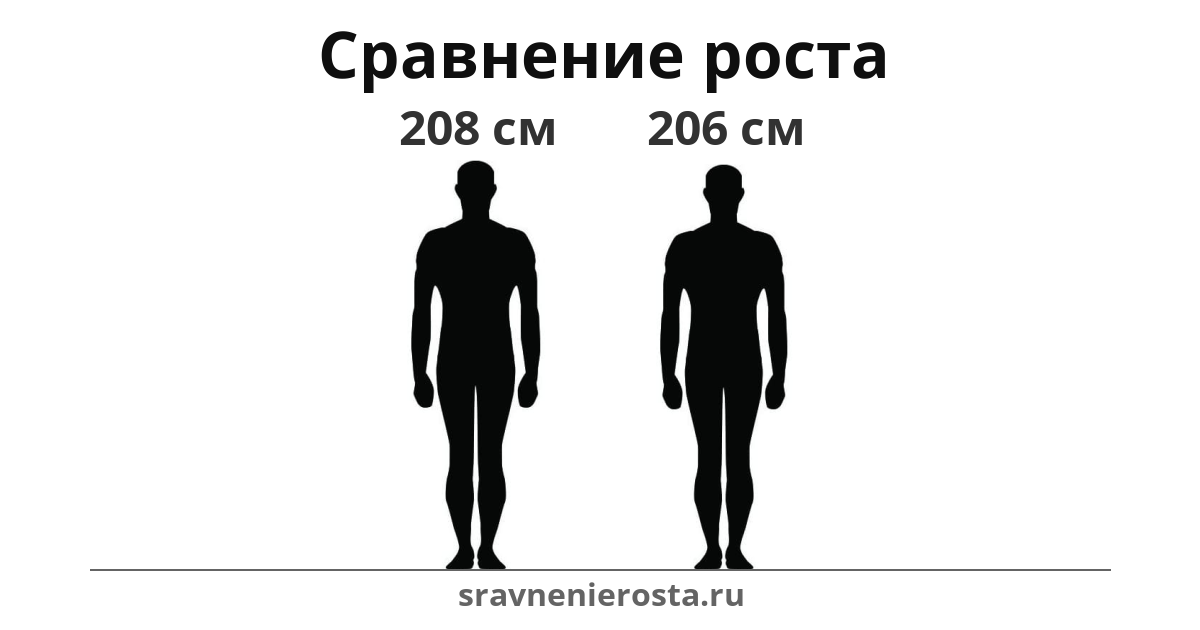 Визуализация соотношения роста мужчины (208 см) и мужчины (206 см) на сайте sravnenierosta.ru