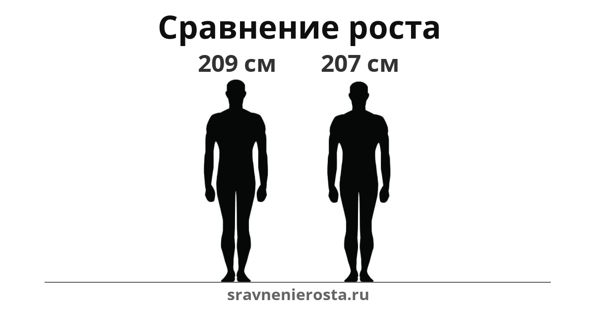 Визуализация соотношения роста мужчины (209 см) и мужчины (207 см) на сайте sravnenierosta.ru