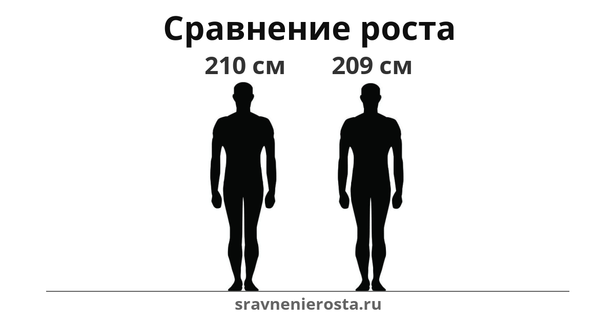 Визуализация соотношения роста мужчины (210 см) и мужчины (209 см) на сайте sravnenierosta.ru