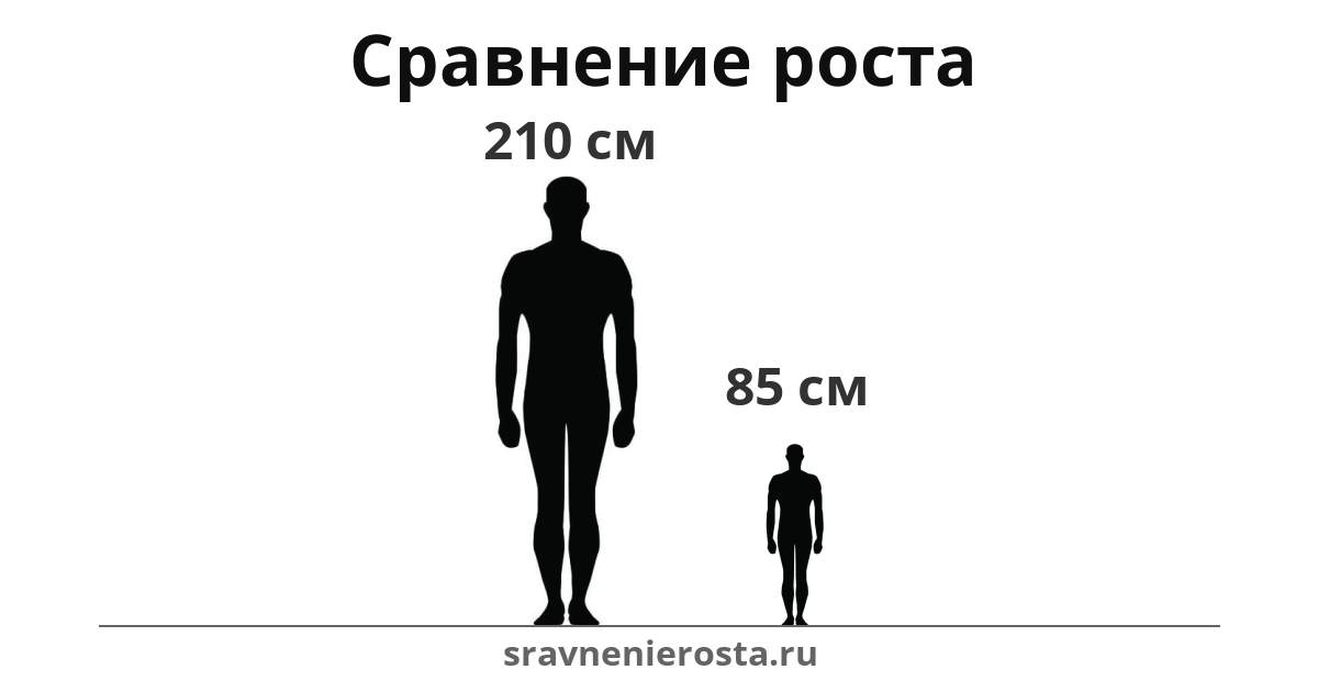Визуализация соотношения роста мужчины (210 см) и мужчины (85 см) на сайте sravnenierosta.ru