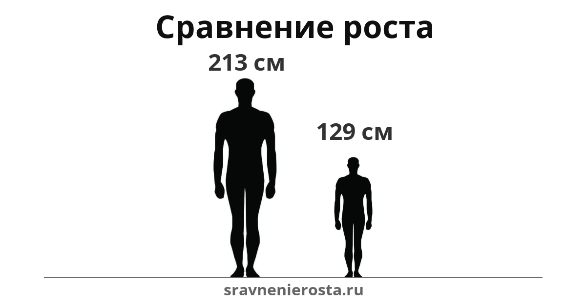Визуализация соотношения роста мужчины (213 см) и мужчины (129 см) на сайте sravnenierosta.ru