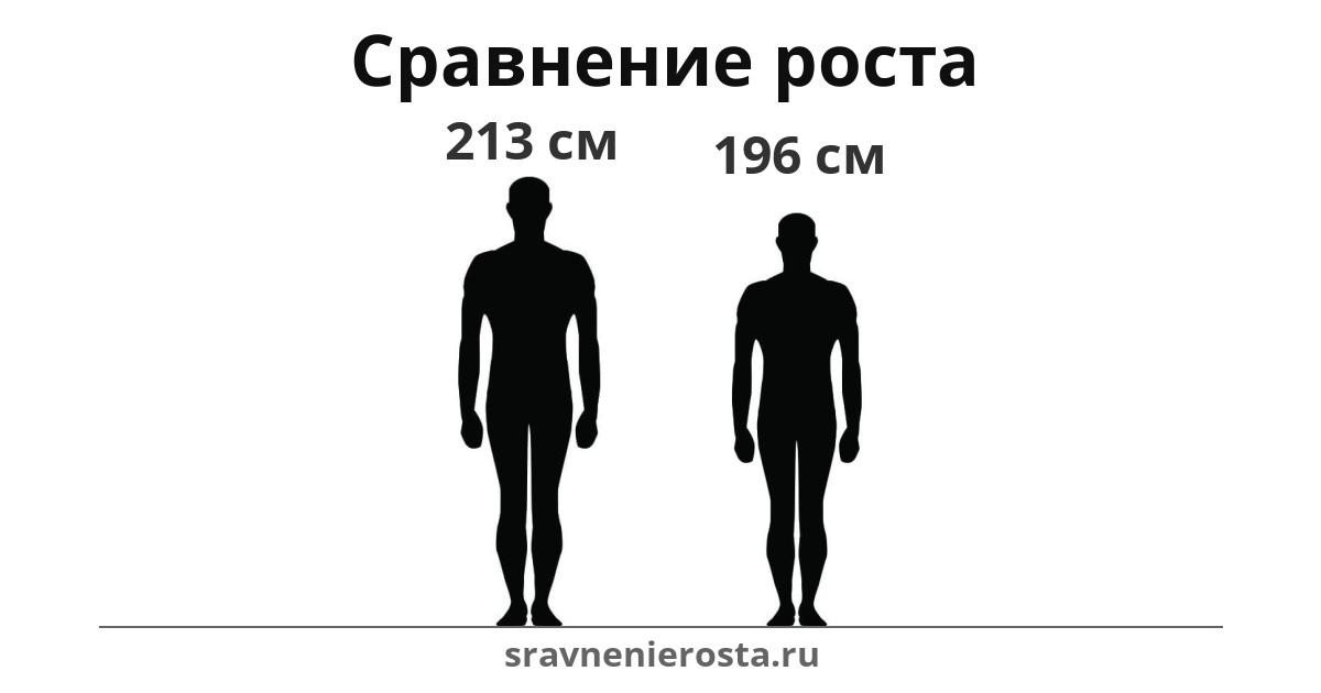 Визуализация соотношения роста мужчины (213 см) и мужчины (196 см) на сайте sravnenierosta.ru