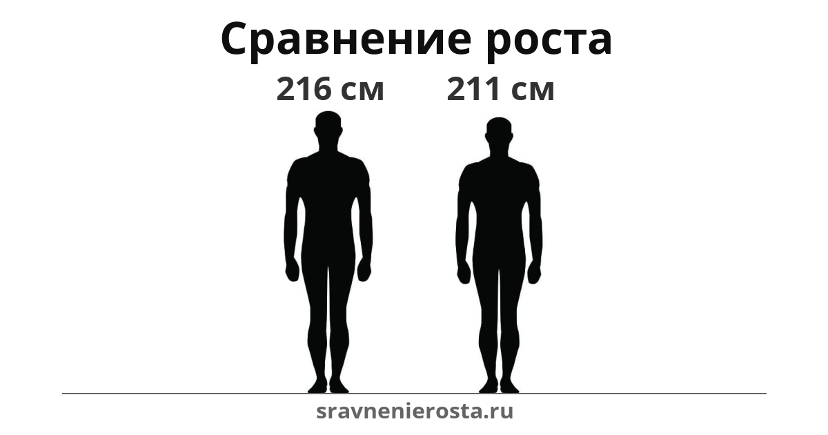 Визуализация соотношения роста мужчины (216 см) и мужчины (211 см) на сайте sravnenierosta.ru