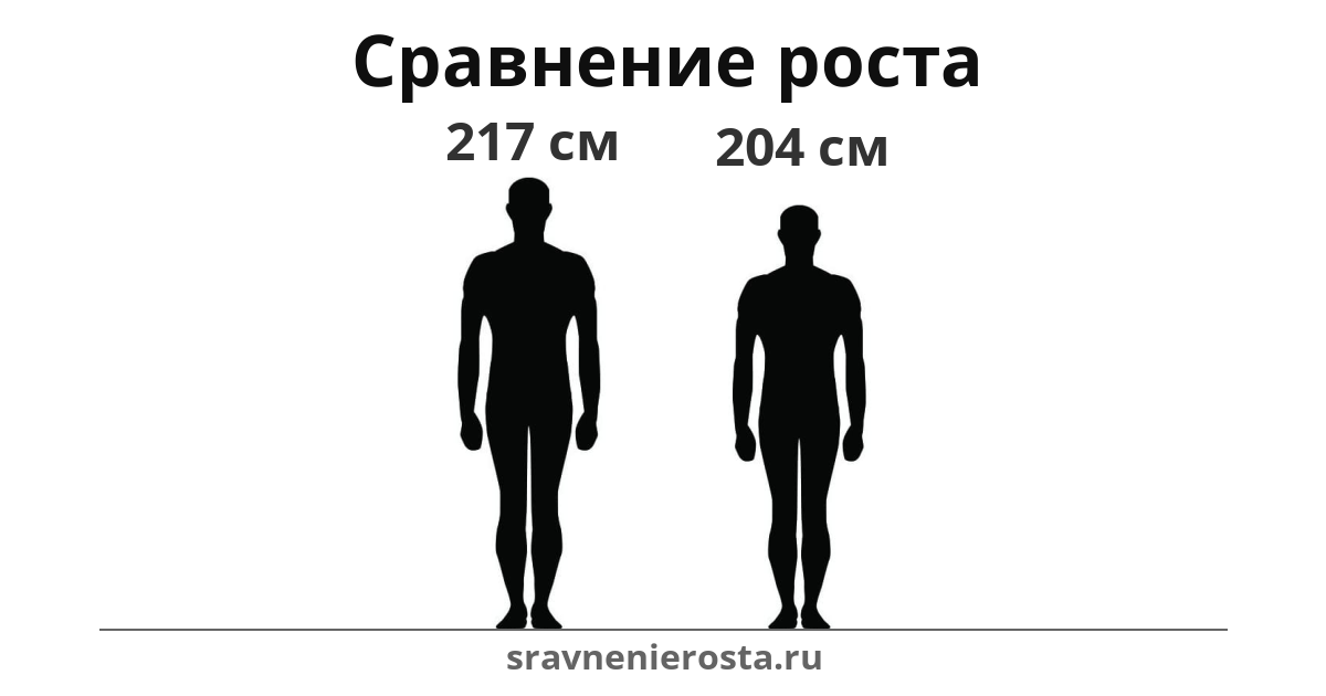 Визуализация соотношения роста мужчины (217 см) и мужчины (204 см) на сайте sravnenierosta.ru