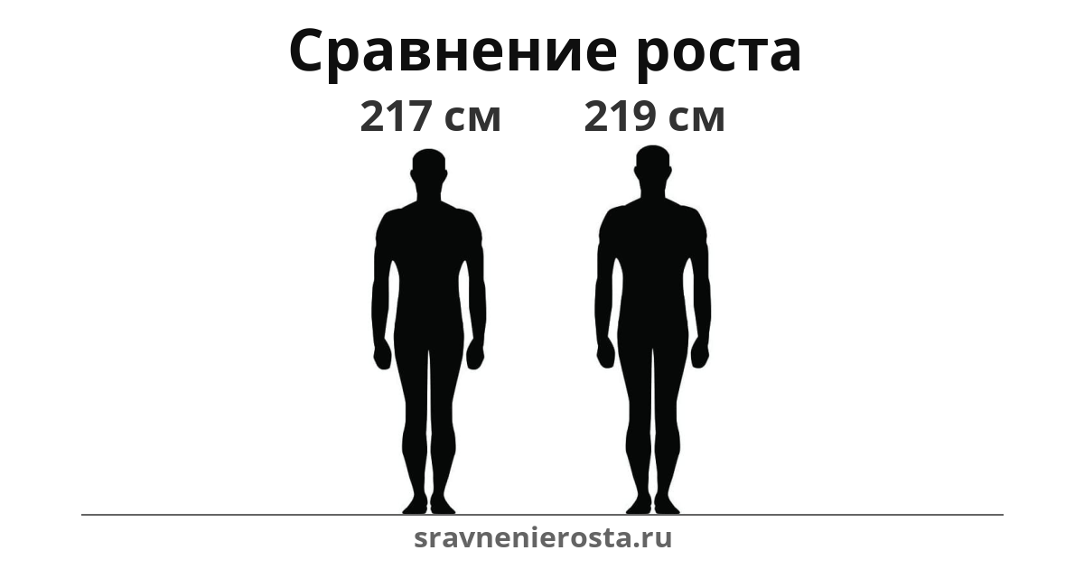 Визуализация соотношения роста мужчины (217 см) и мужчины (219 см) на сайте sravnenierosta.ru