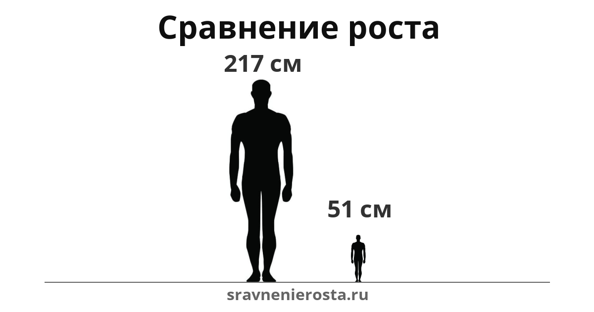 Визуализация соотношения роста мужчины (217 см) и мужчины (51 см) на сайте sravnenierosta.ru