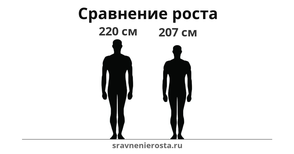 Визуализация соотношения роста мужчины (220 см) и мужчины (207 см) на сайте sravnenierosta.ru