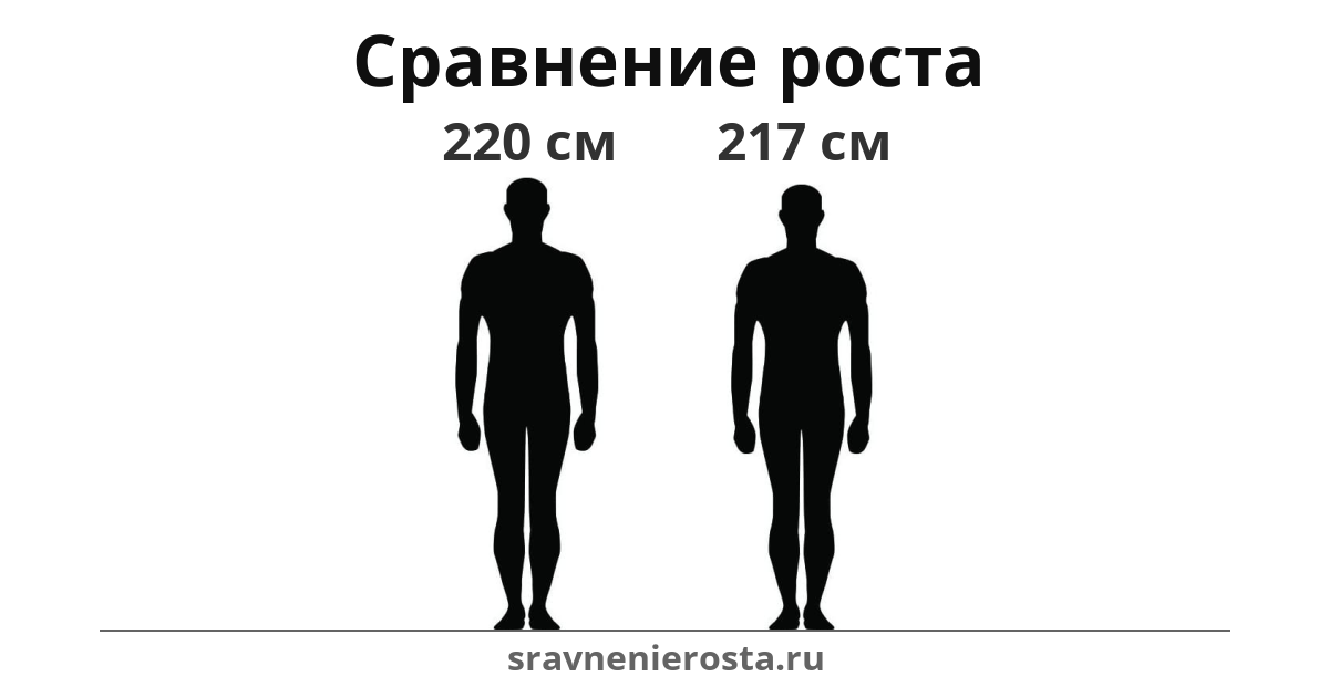 Визуализация соотношения роста мужчины (220 см) и мужчины (217 см) на сайте sravnenierosta.ru