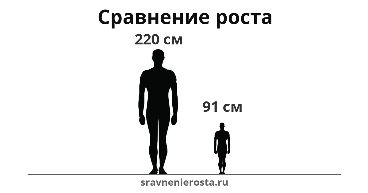 Визуализация соотношения роста мужчины (220 см) и мужчины (91 см) на сайте sravnenierosta.ru