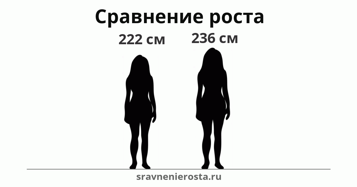 Визуализация соотношения роста женщины (222 см) и женщины (236 см) на сайте sravnenierosta.ru