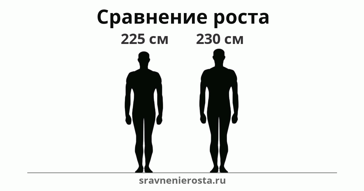 Визуализация соотношения роста мужчины (225 см) и мужчины (230 см) на сайте sravnenierosta.ru