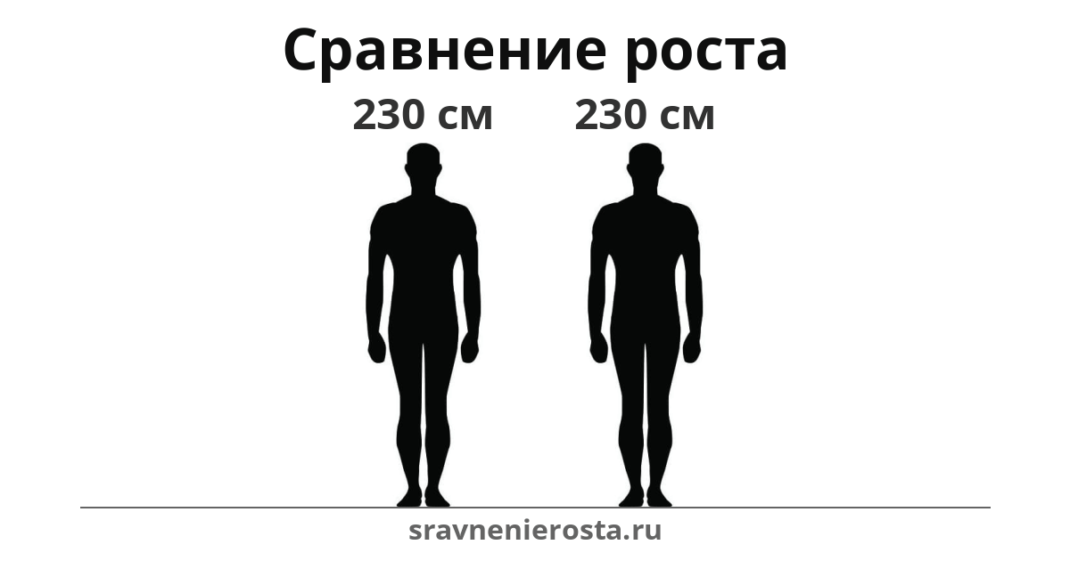 Визуализация соотношения роста мужчины (230 см) и мужчины (230 см) на сайте sravnenierosta.ru