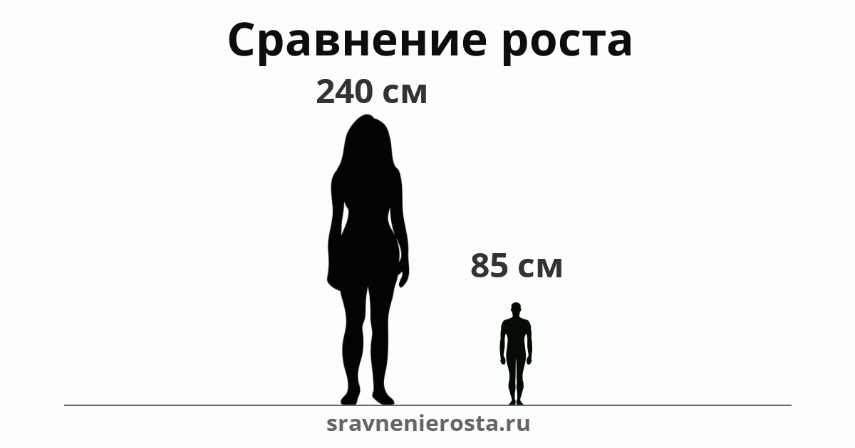 Визуализация соотношения роста женщины (240 см) и мужчины (85 см) на сайте sravnenierosta.ru