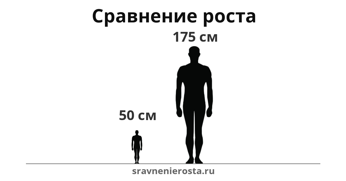 Визуализация соотношения роста мужчины (50 см) и мужчины (175 см) на сайте sravnenierosta.ru
