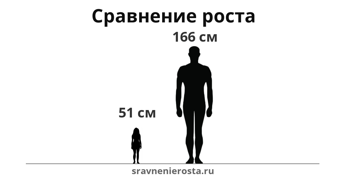 Визуализация соотношения роста женщины (51 см) и мужчины (166 см) на сайте sravnenierosta.ru
