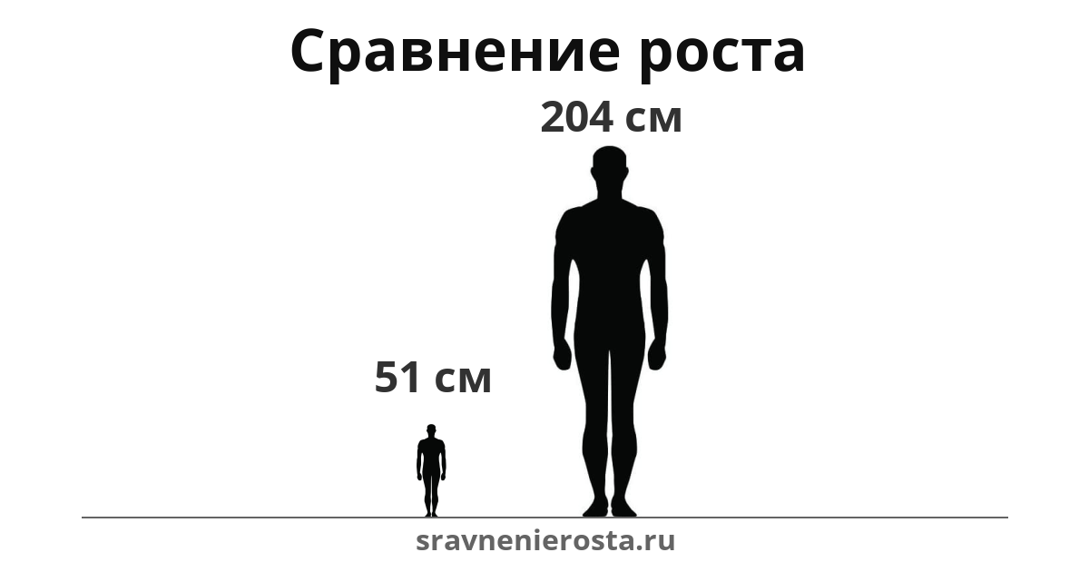 Визуализация соотношения роста мужчины (51 см) и мужчины (204 см) на сайте sravnenierosta.ru