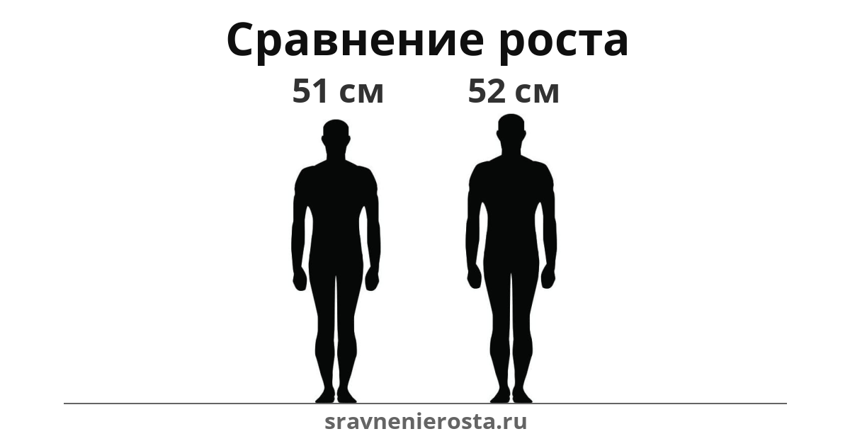 Визуализация соотношения роста мужчины (51 см) и мужчины (52 см) на сайте sravnenierosta.ru
