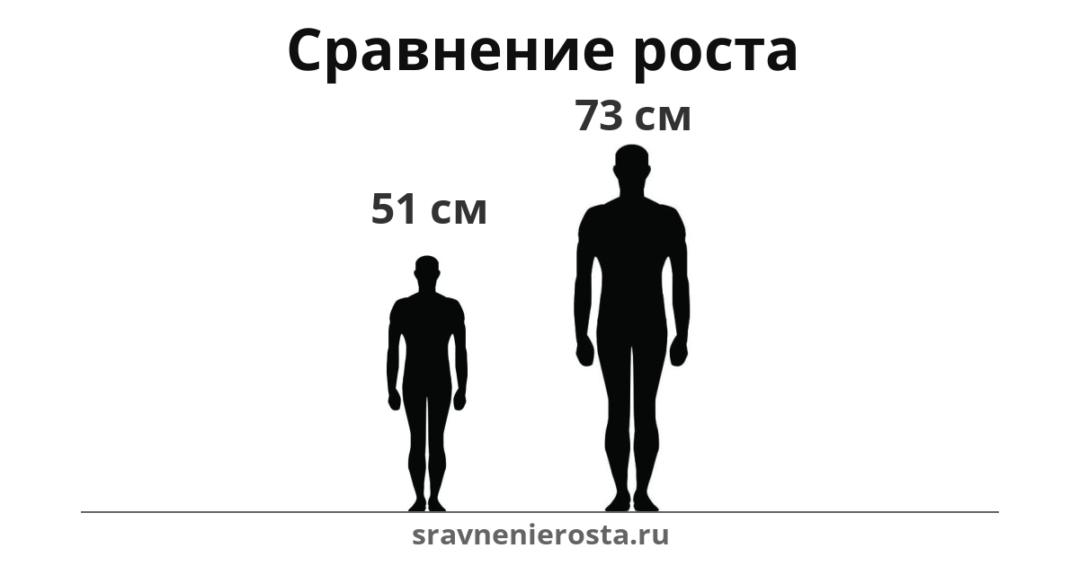 Визуализация соотношения роста мужчины (51 см) и мужчины (73 см) на сайте sravnenierosta.ru