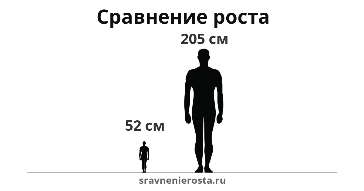 Визуализация соотношения роста мужчины (52 см) и мужчины (205 см) на сайте sravnenierosta.ru