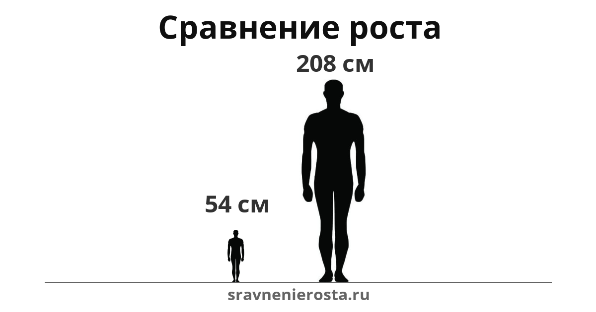 Визуализация соотношения роста мужчины (54 см) и мужчины (208 см) на сайте sravnenierosta.ru