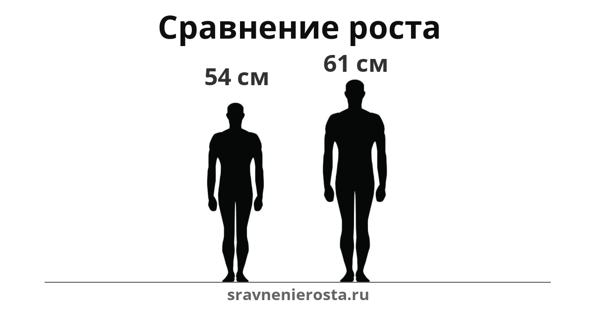 Визуализация соотношения роста мужчины (54 см) и мужчины (61 см) на сайте sravnenierosta.ru