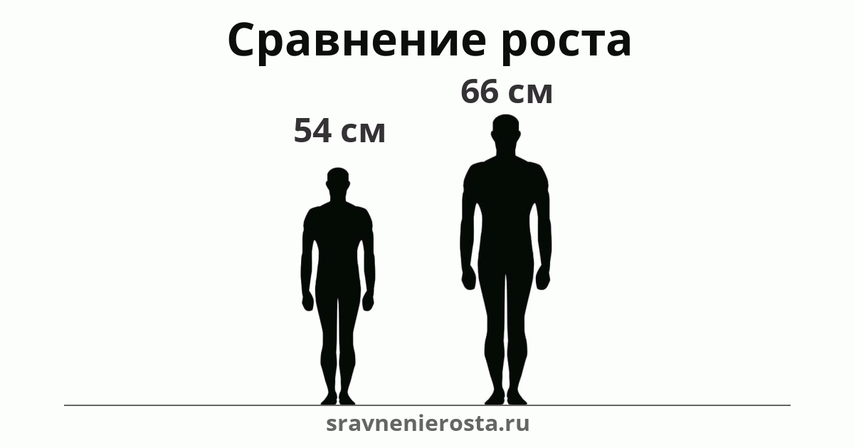 Визуализация соотношения роста мужчины (54 см) и мужчины (66 см) на сайте sravnenierosta.ru