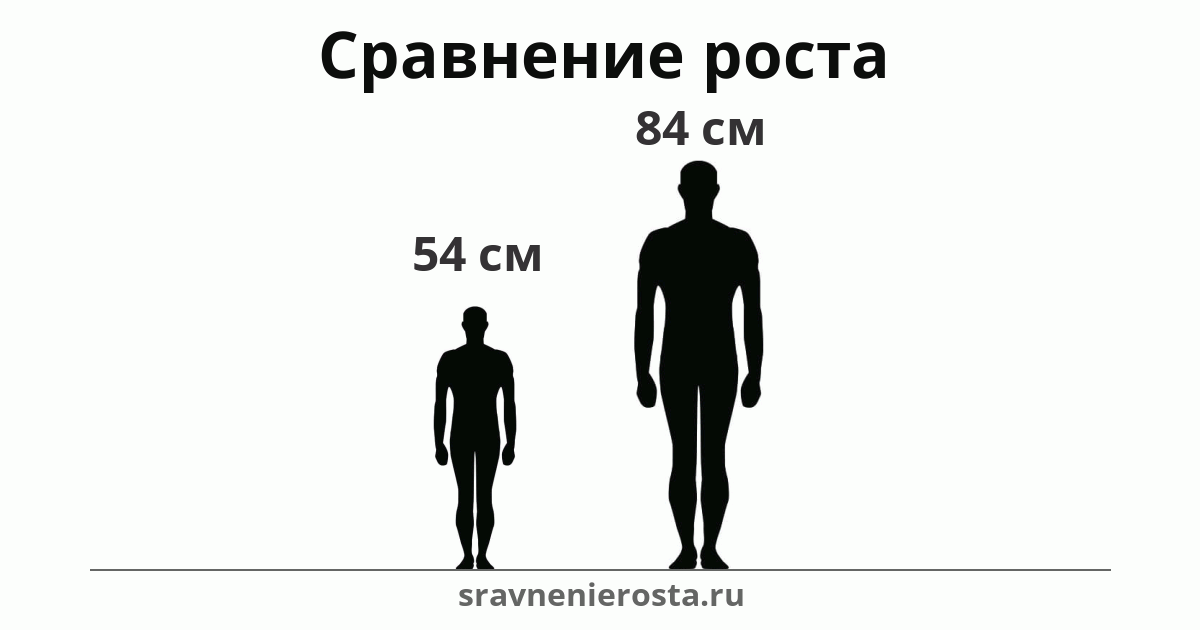Визуализация соотношения роста мужчины (54 см) и мужчины (84 см) на сайте sravnenierosta.ru