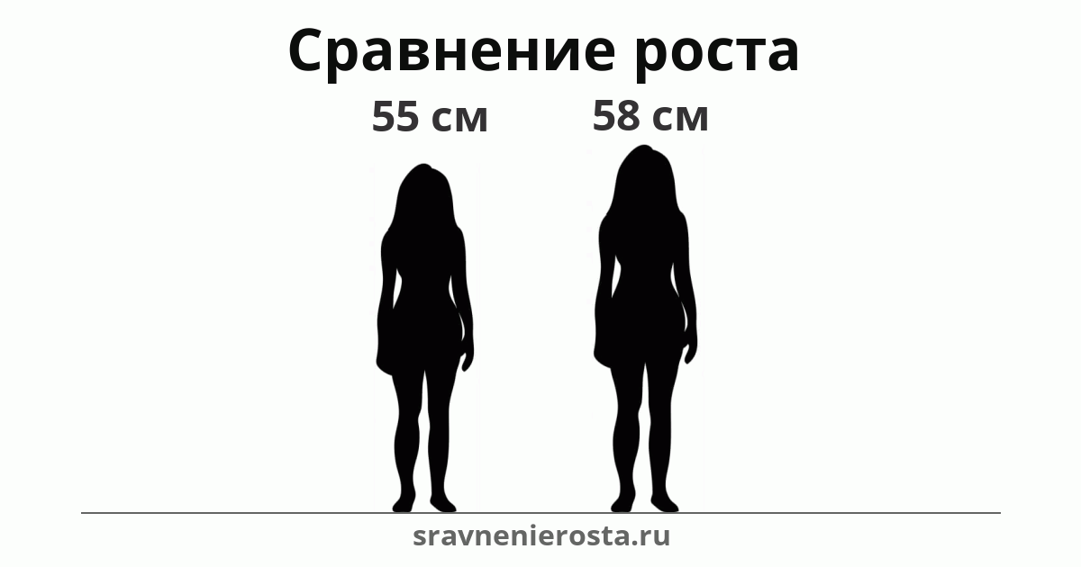Визуализация соотношения роста женщины (55 см) и женщины (58 см) на сайте sravnenierosta.ru
