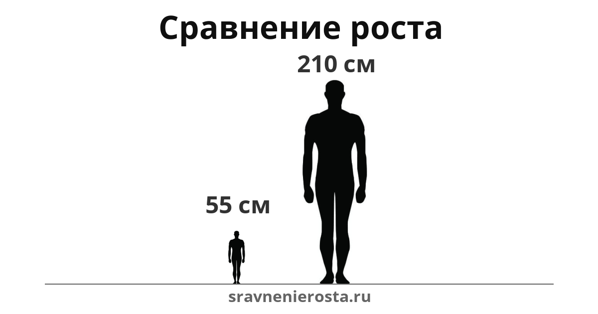 Визуализация соотношения роста мужчины (55 см) и мужчины (210 см) на сайте sravnenierosta.ru