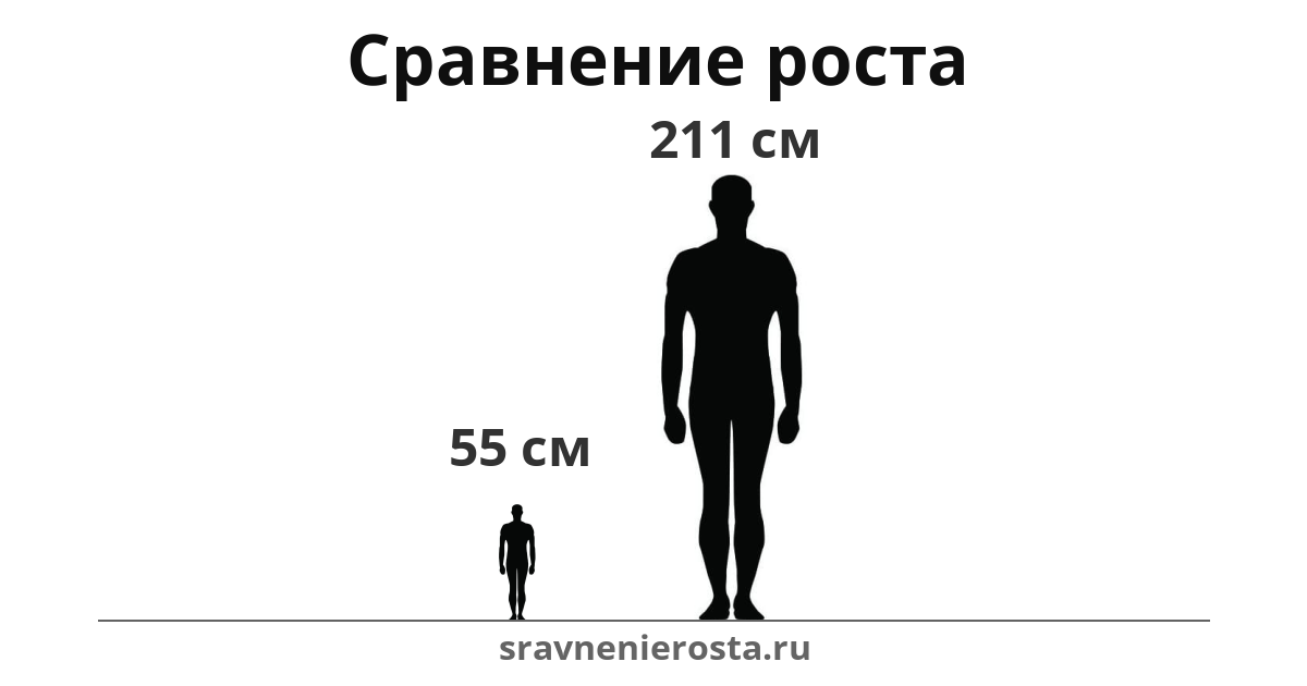 Визуализация соотношения роста мужчины (55 см) и мужчины (211 см) на сайте sravnenierosta.ru
