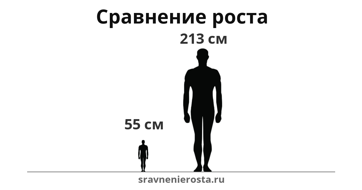 Визуализация соотношения роста мужчины (55 см) и мужчины (213 см) на сайте sravnenierosta.ru
