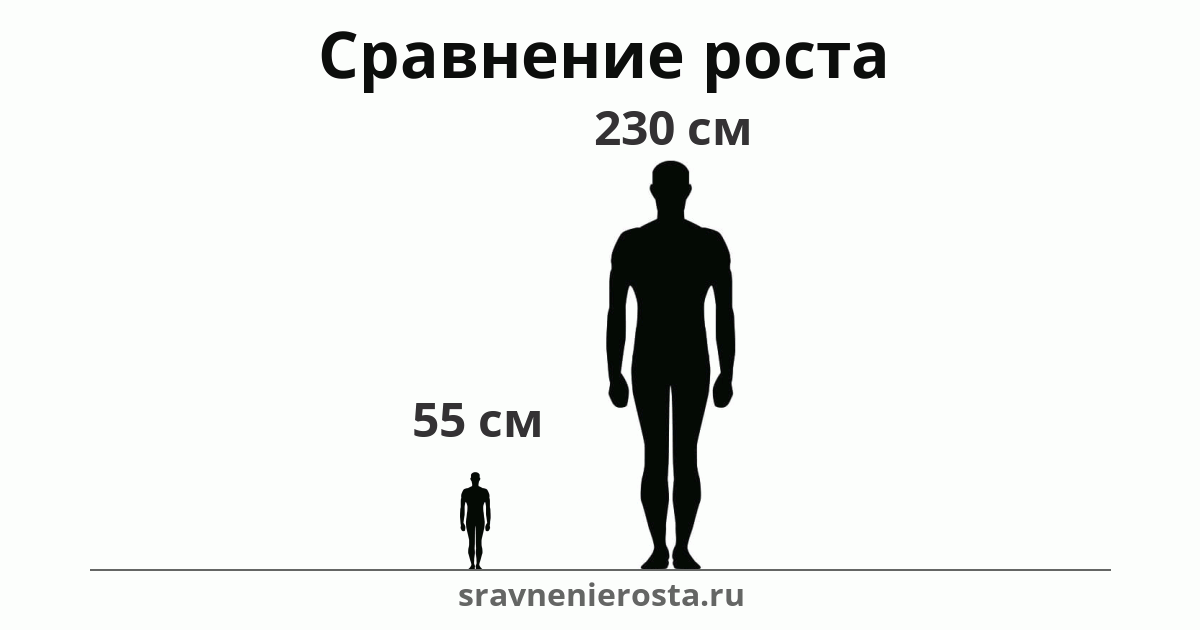 Визуализация соотношения роста мужчины (55 см) и мужчины (230 см) на сайте sravnenierosta.ru