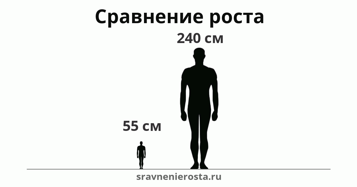 Визуализация соотношения роста мужчины (55 см) и мужчины (240 см) на сайте sravnenierosta.ru