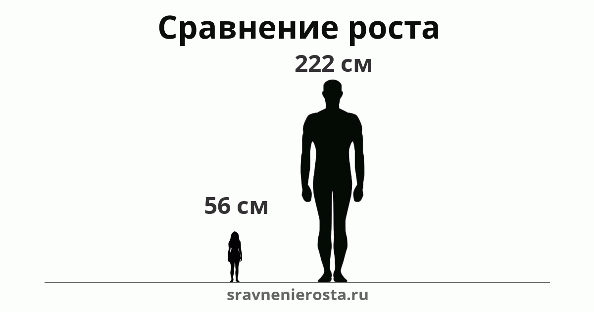Визуализация соотношения роста женщины (56 см) и мужчины (222 см) на сайте sravnenierosta.ru