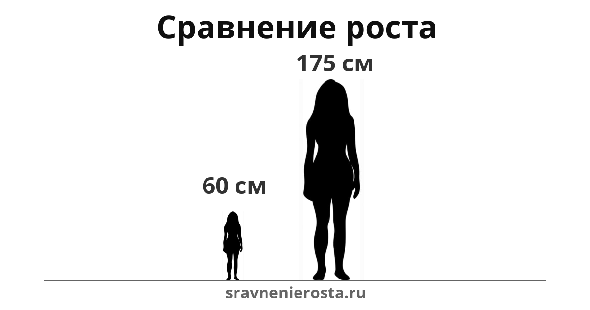 Визуализация соотношения роста женщины (60 см) и женщины (175 см) на сайте sravnenierosta.ru