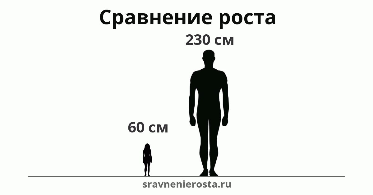 Визуализация соотношения роста женщины (60 см) и мужчины (230 см) на сайте sravnenierosta.ru